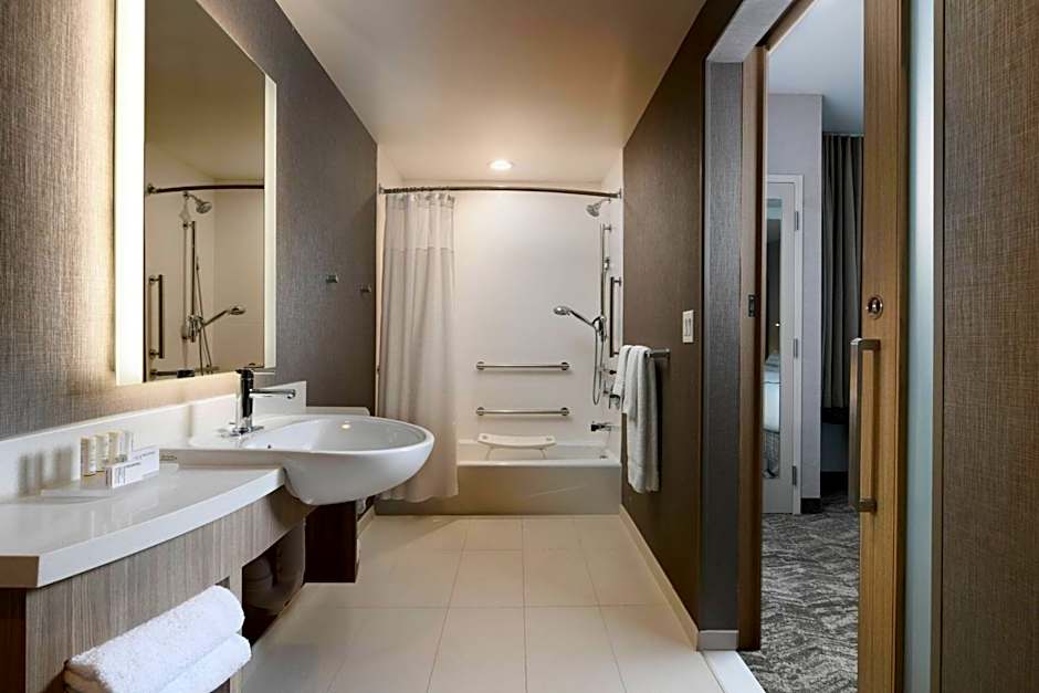 SpringHill Suites by Marriott Dallas DFW Airport South Centreport