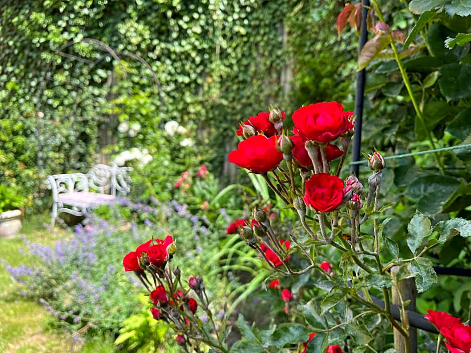 Rezydencja Grawert Boutique & Spa