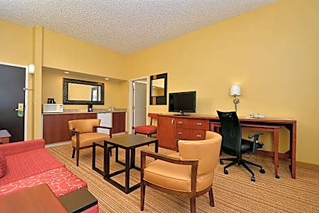 Suite, 1 King, Sofa bed
