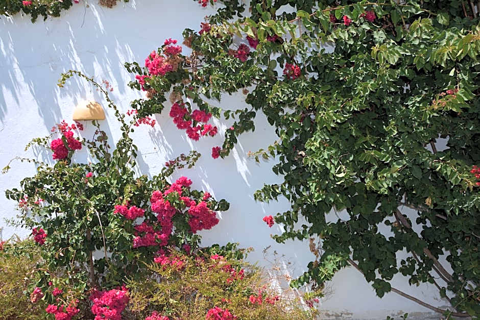 Apartamentos Cintra do Vale