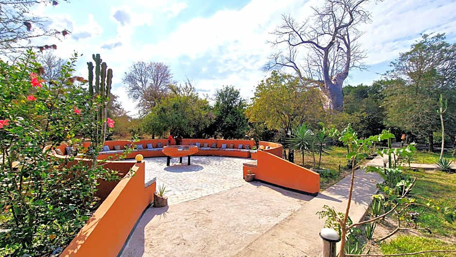 Africa Safari Selous Nyerere national park