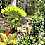 The Junglehouse Noosa