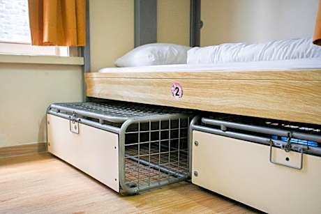 Bed in 16-Bed Mixed Dormitory Room