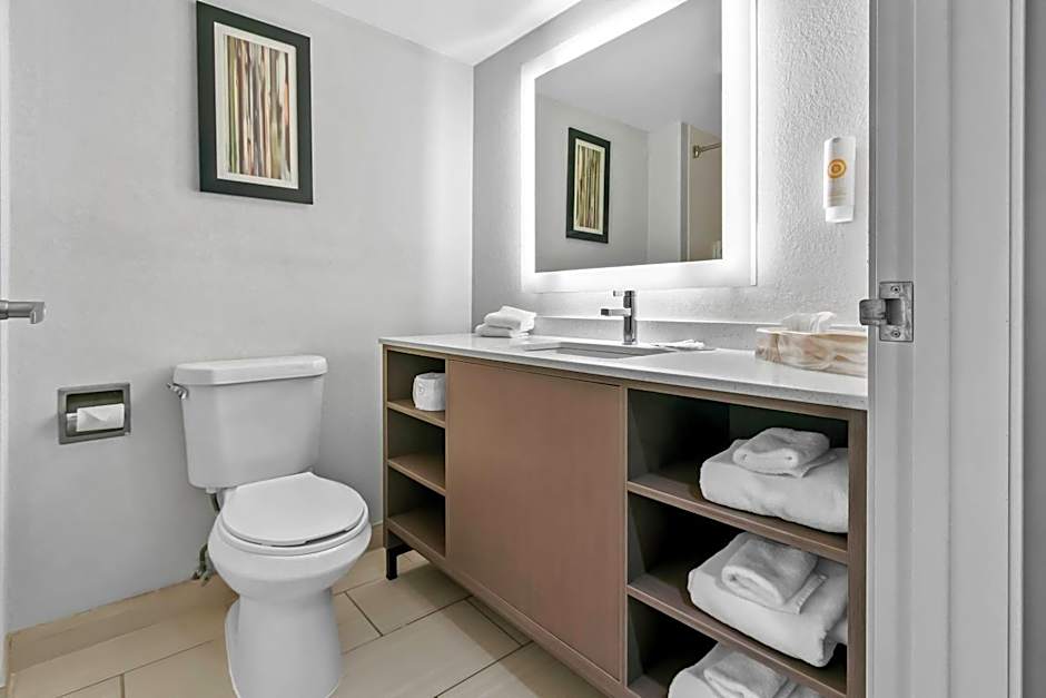 Comfort Inn & Suites Grand Blanc/Flint