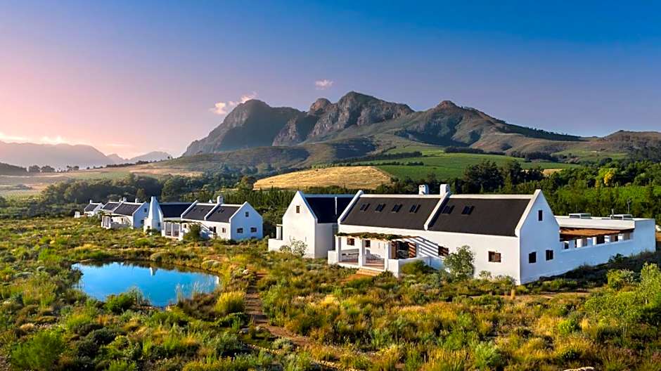 Photo 1 of 50 of Babylonstoren