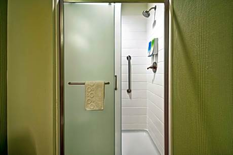 1King Hearing Accessible Studio Suite Nosmok