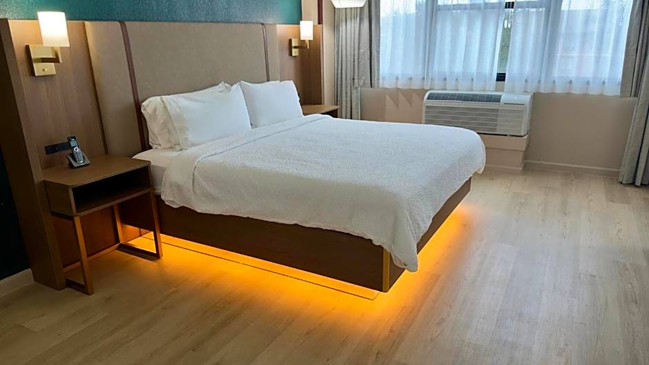 Holiday Inn Houston S - NRG Area - Med Ctr By IHG