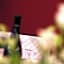 Hotel Villa Pigna