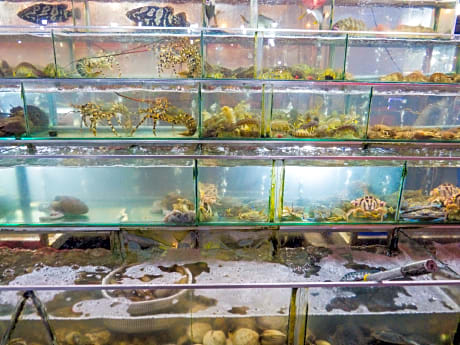 LUNAR HOTEL PHÚ QUỐC