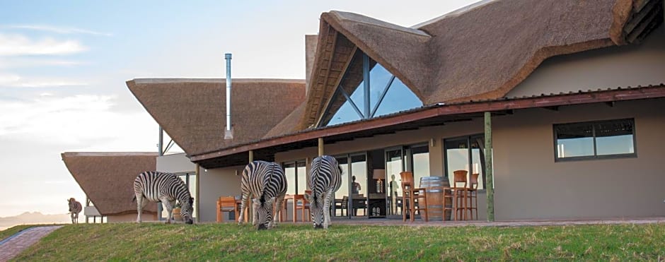 JBay Zebra Lodge
