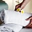 Hotel Elefantino Grey - Free Brunch & Breakfast Until 13-00 - Vicinissimi a Mirabilandia