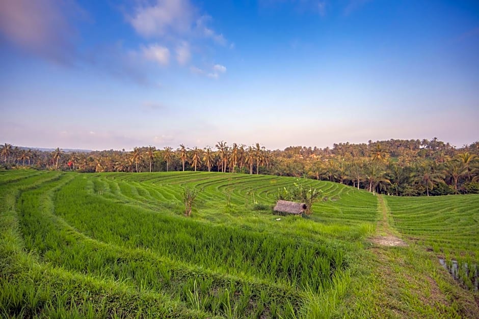 Bali Green Retreat