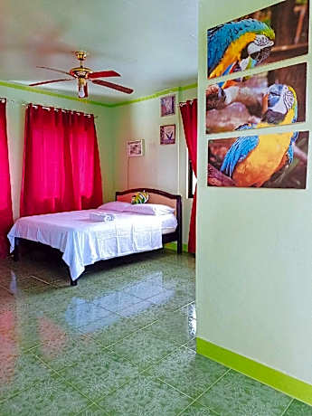 RedDoorz @ Garcia Hernandez Bohol