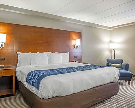 1 King Bed Nonsmoking Accessible