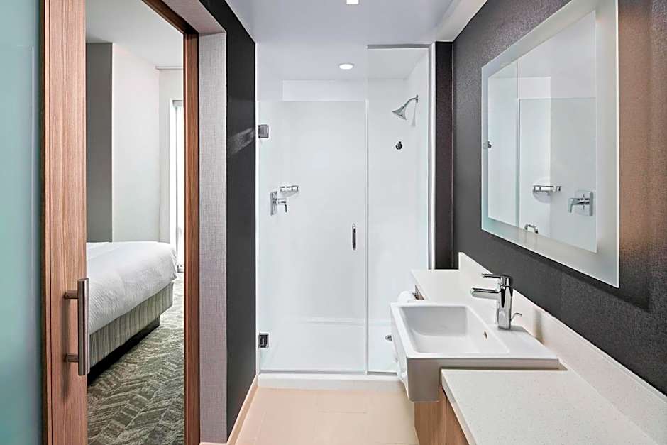 SpringHill Suites by Marriott Greenville Downtown