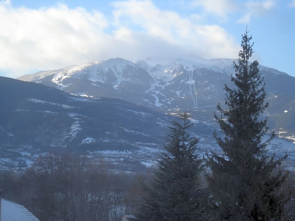 Puigcerda Park Hotel