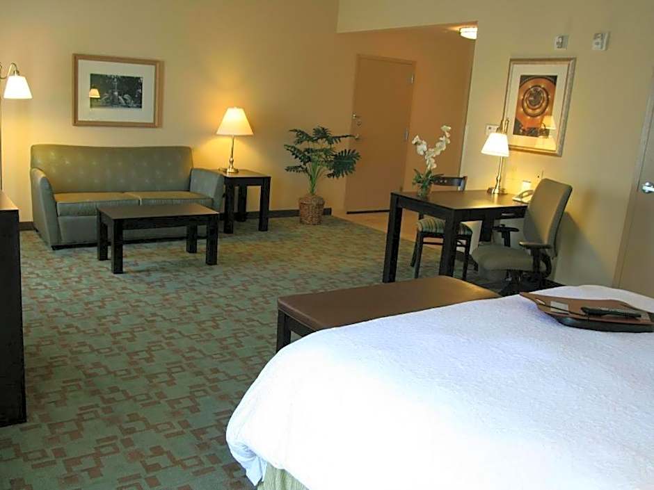 Hampton Inn By Hilton And Suites Savannah-Airport