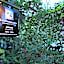 Linden Gardens Rainforest Retreat