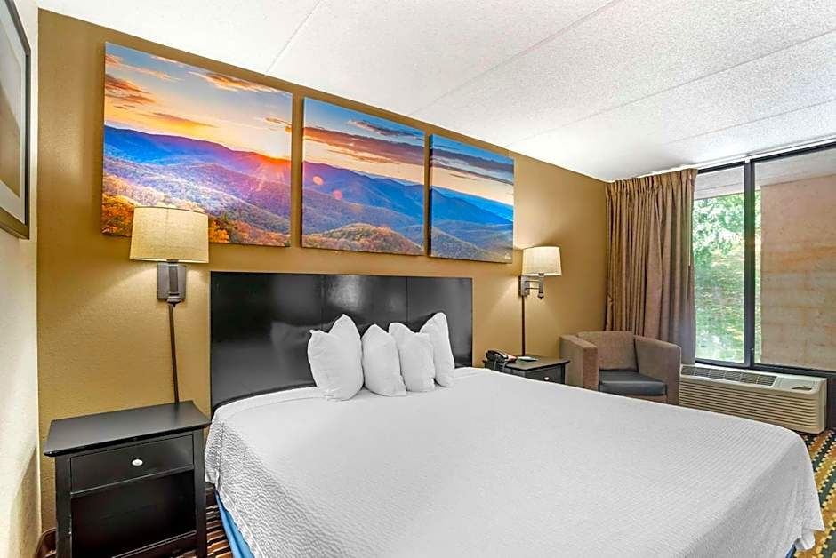 Quality Inn near Speedway