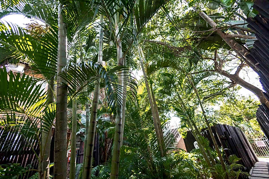 Little Eden St Lucia