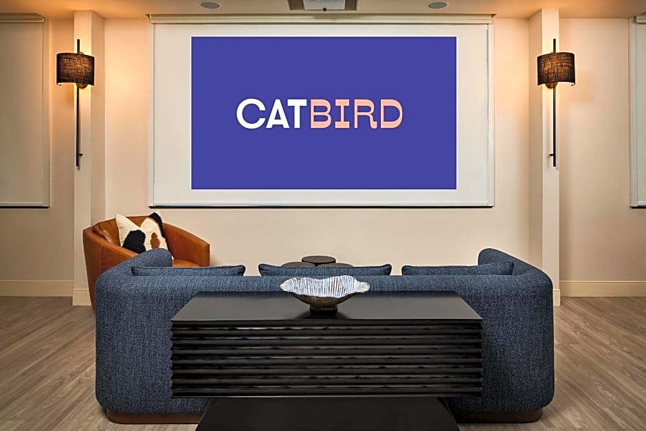 CatBird