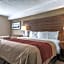 Comfort Inn Huntsville