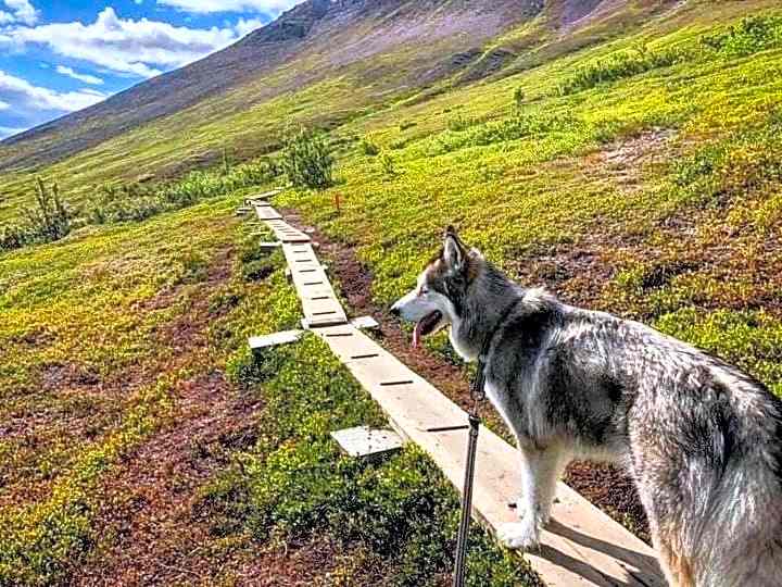 Sonfjällsgårdens Wärdshus & Hotell
