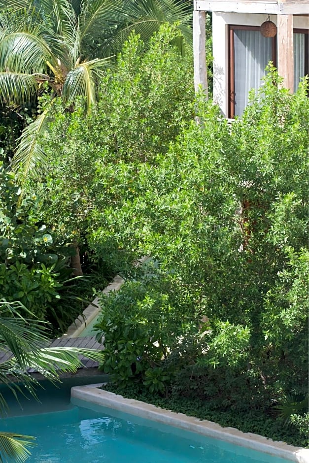 Nerea Tulum