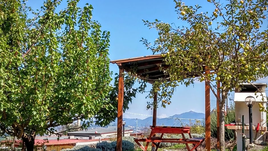 Agriturismo B&B La Cerasa