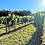 Agriturismo Montalto