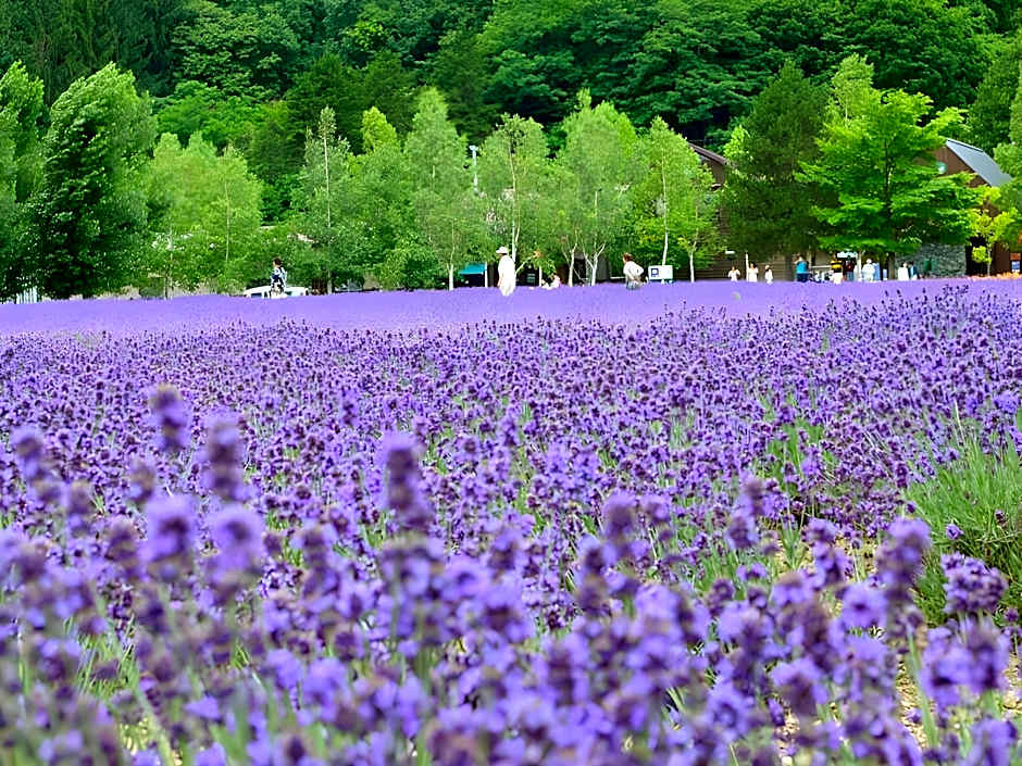 Minshuku Akiba