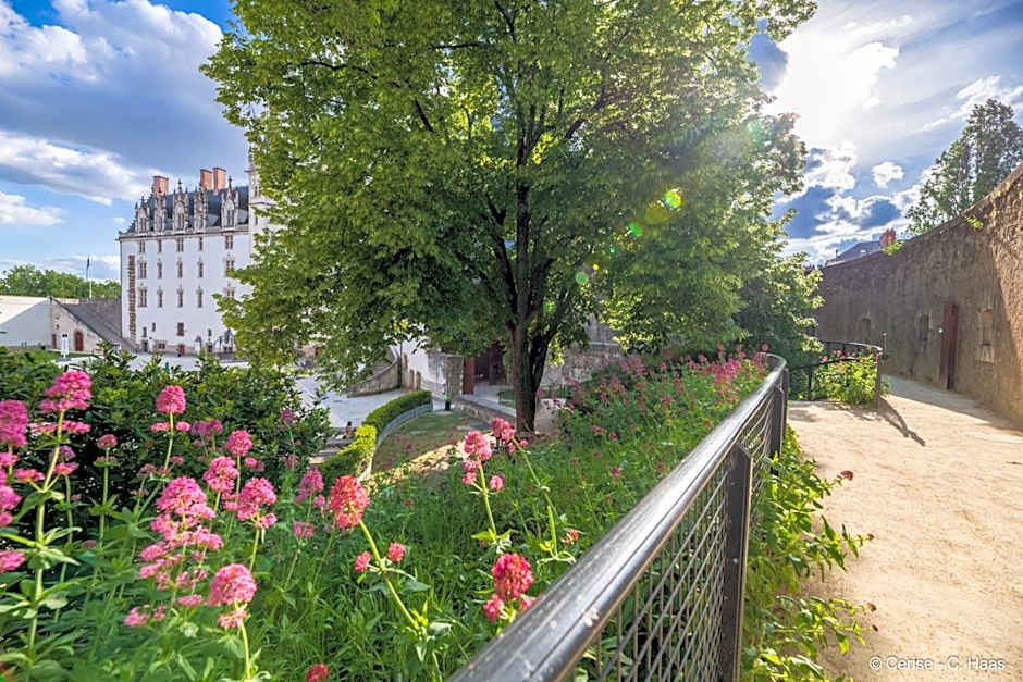 Cerise Nantes Atlantis