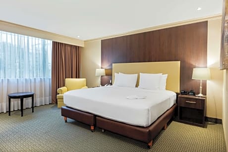 1 King Bed Deluxe Room