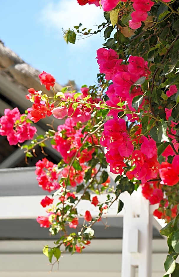 Veranda Palmar Beach Hotel & Spa - All Inclusive