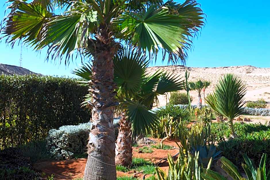 Dakhla Kitesurf World