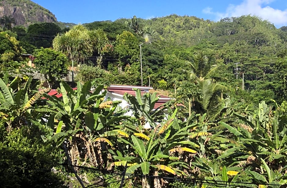 Papaya Guesthouse