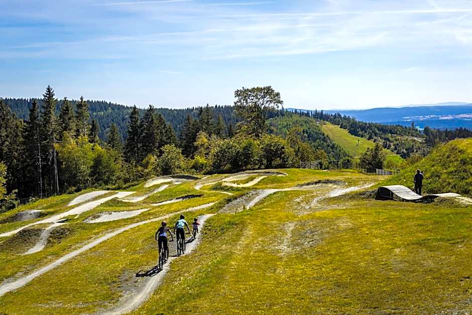 IFA Schöneck Hotel & Ferienpark