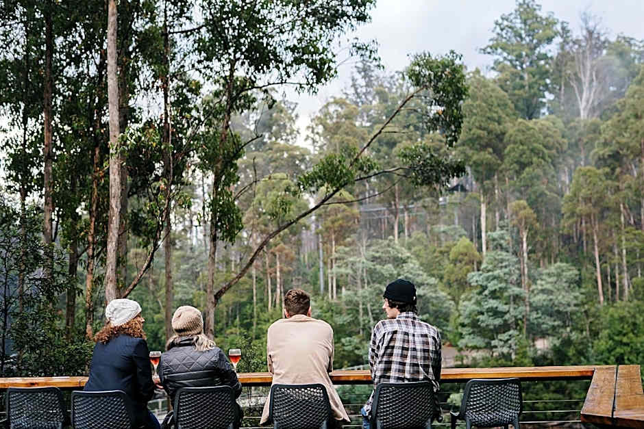 Tahune AirWalk Cabin and Lodge