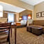 Comfort Suites Rochester Henrietta University Area
