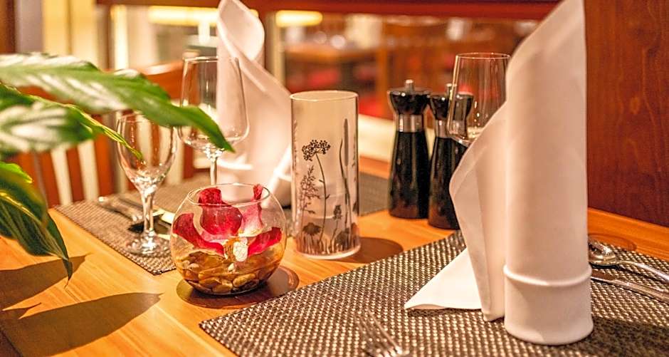 PLAZA INN Goslar