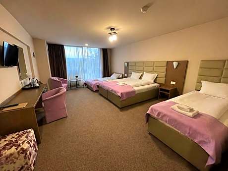 Triple Room (3 Adults + 1 Child)