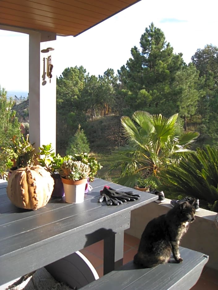 Casa "Quinta Souto da Ordem"