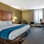 Comfort Inn South