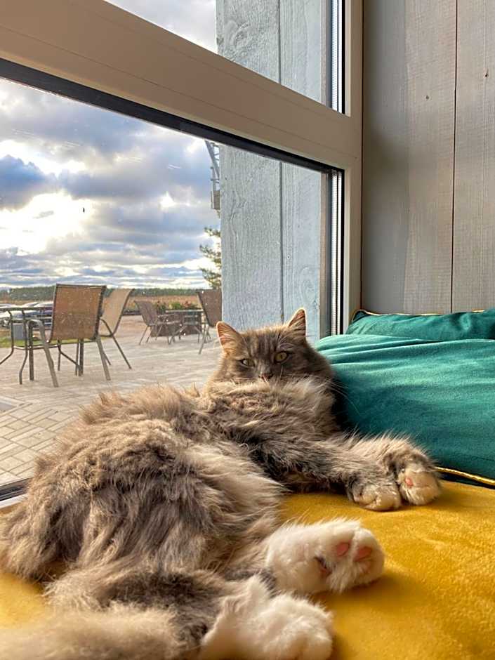 Vergi Sadam & Restoran Wirkes'