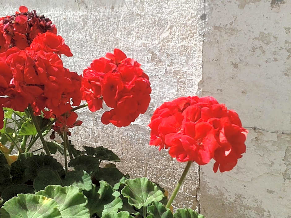 B&B Borgo San Martino