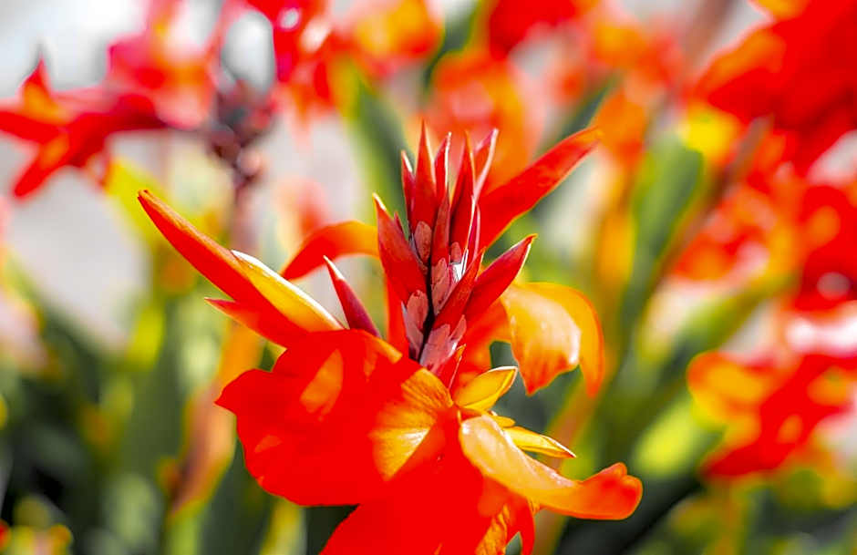 Seaside Inn Monterey