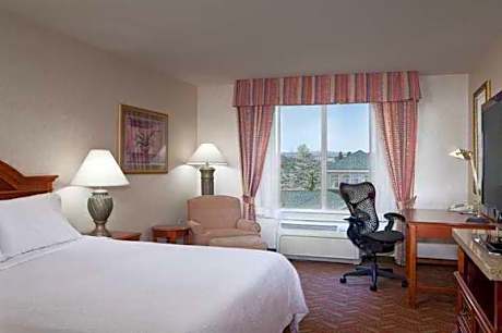 1 King Bed