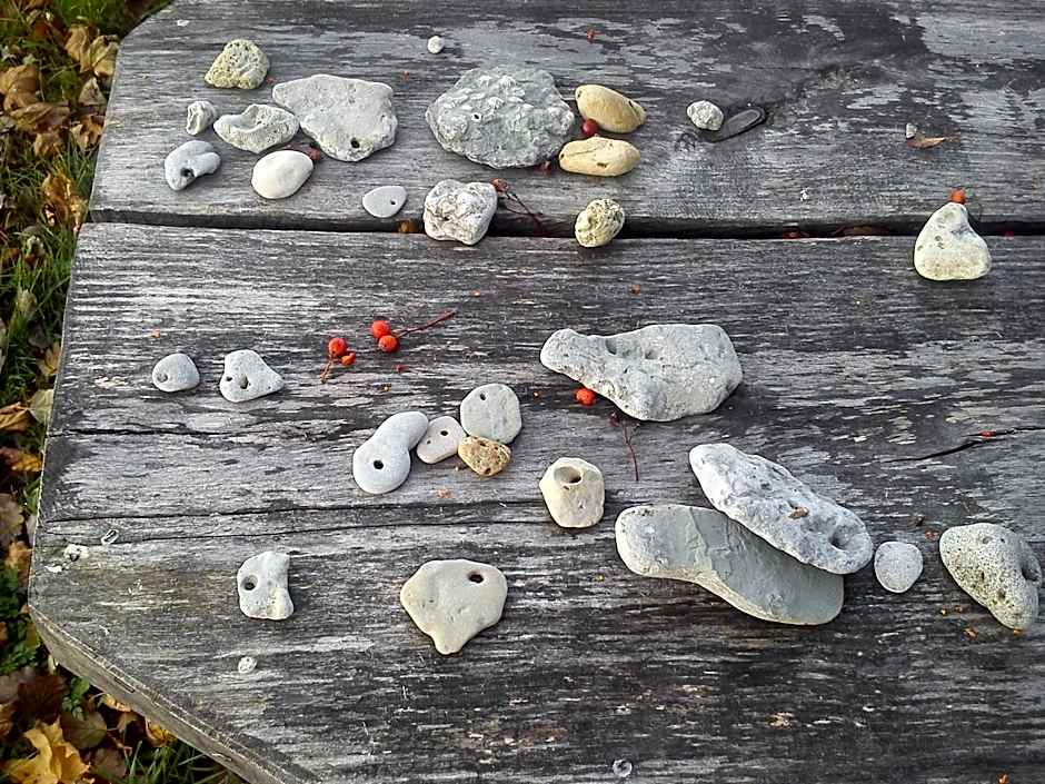 Ohessaare Windmill -Experience accommodation