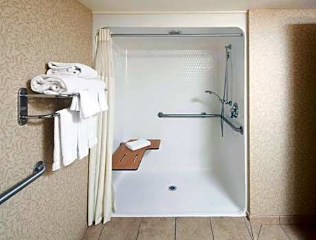 Accessible 1 Queen-312Sqft-Free Wifi-Microwave Fridge-Desk/Chair-Alarm Clock/Radio-Iron/Board Handra