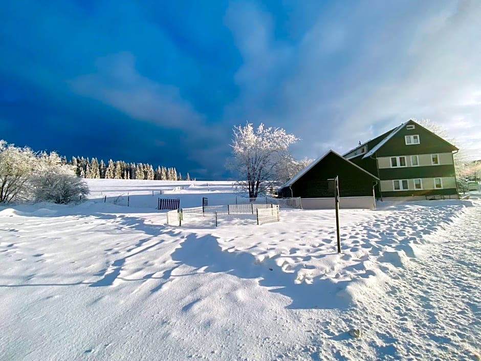 Haus Rosenbaum Gruppenhaus- Begegnungsstätte - Pension